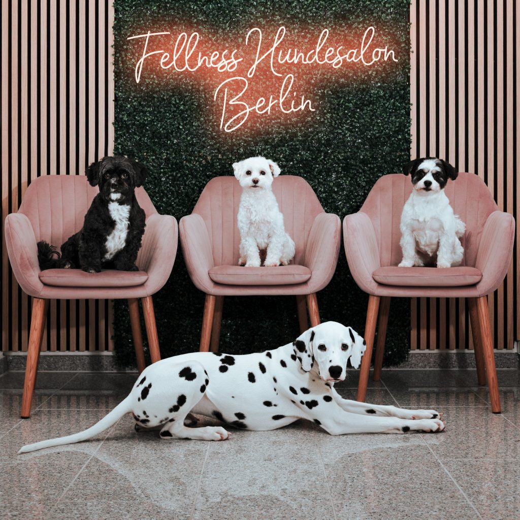 Fellness Hundesalon Berlin
